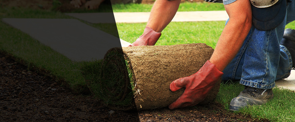 Royal City Landscapers